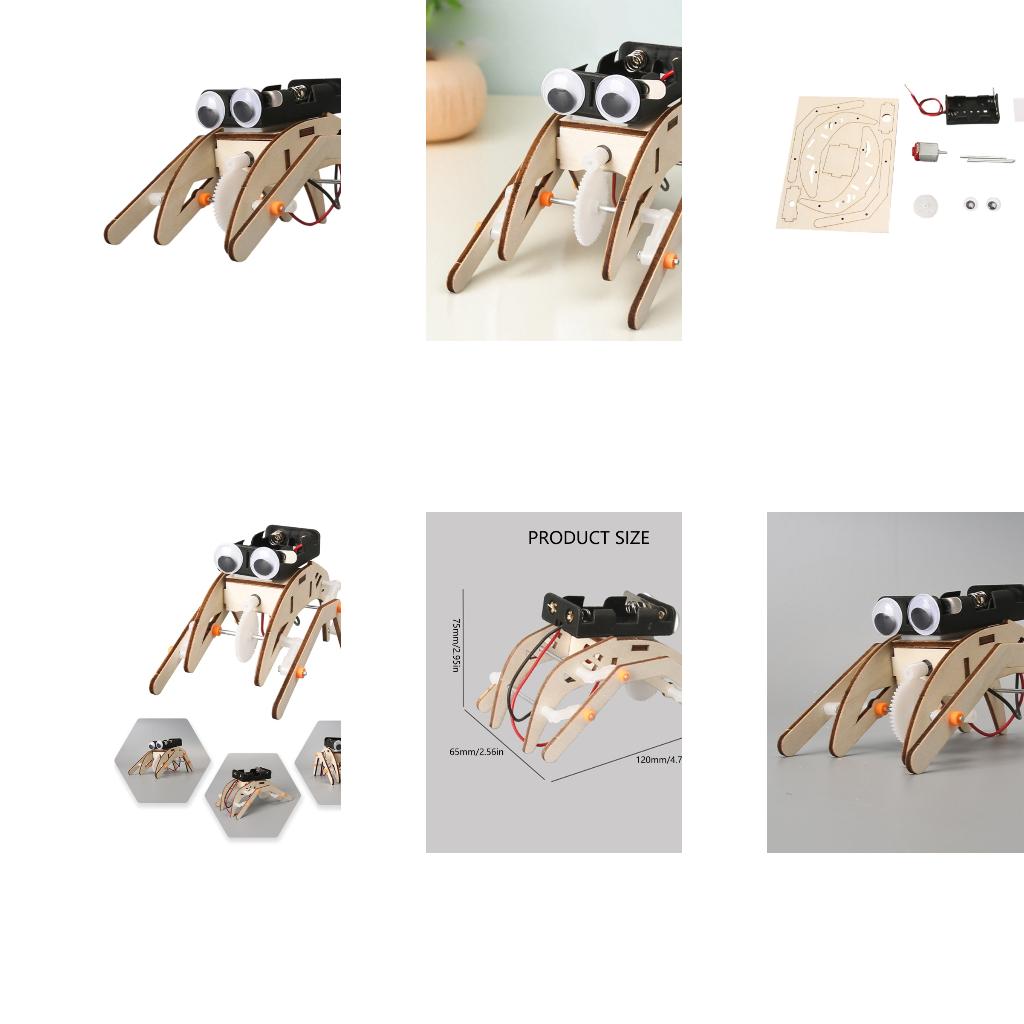 Science Project Physics - Proyecto experimento física insectos mecánicos, juguete