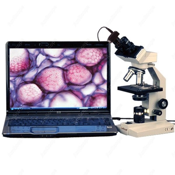 Amscope Microscope Compound 40X-1000X - Microscopio Biológico Compuesto Binocular AmScope Serie