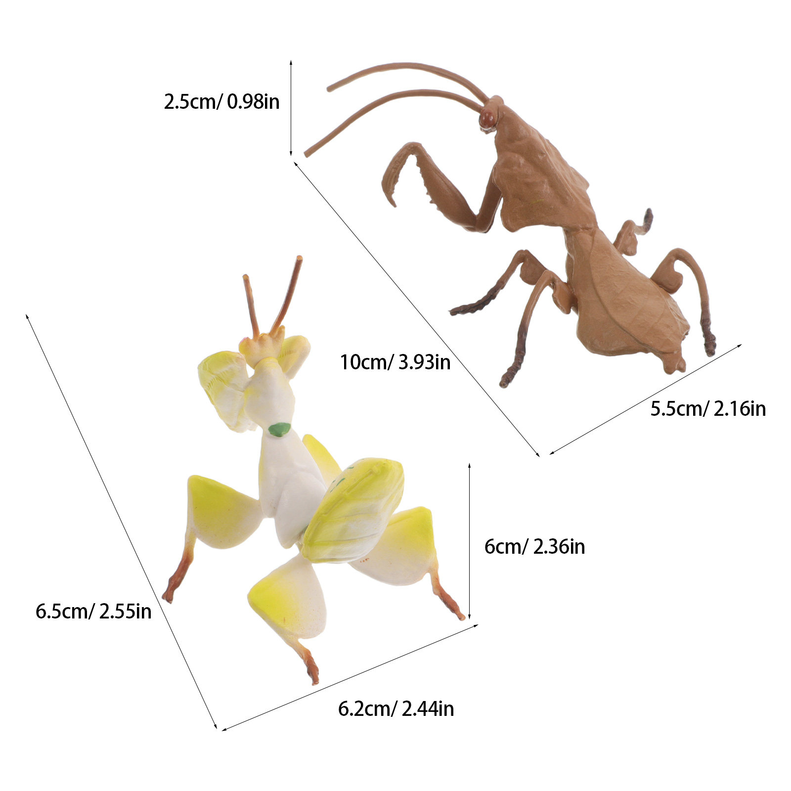 Modelos realistas de mantis re - Science Project reseña y precio