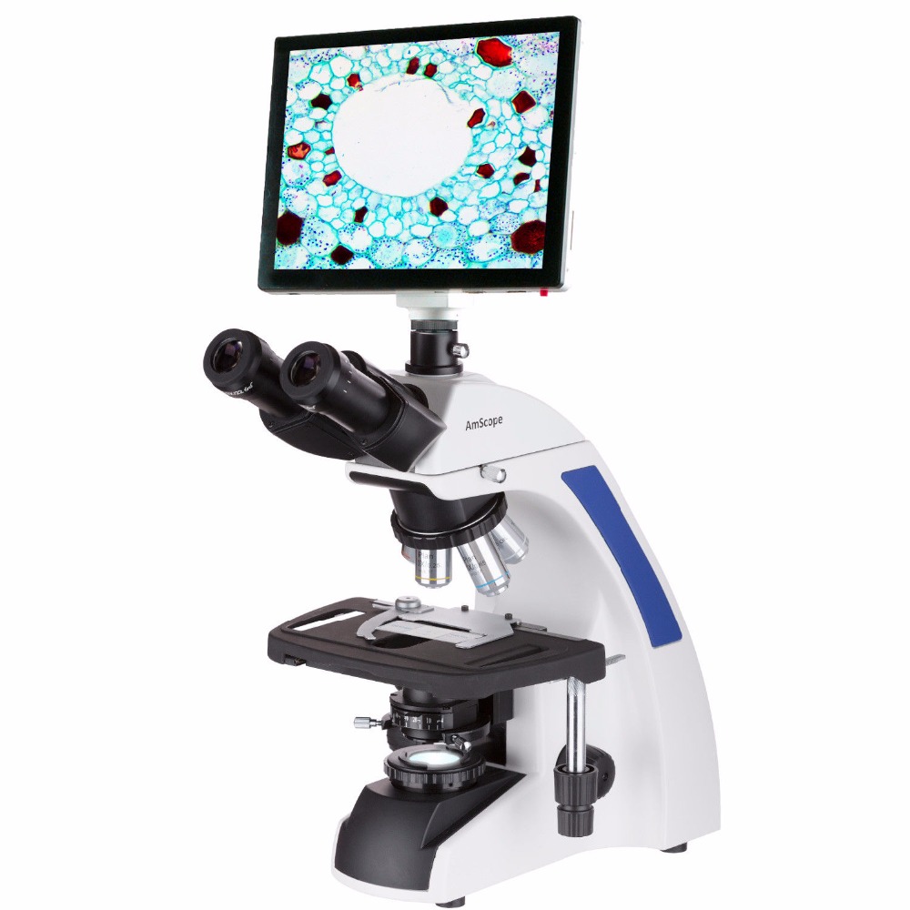 Microscopio Compuesto Trinocul - Amscope Microscope Compound 40X-1000X reseña y precio