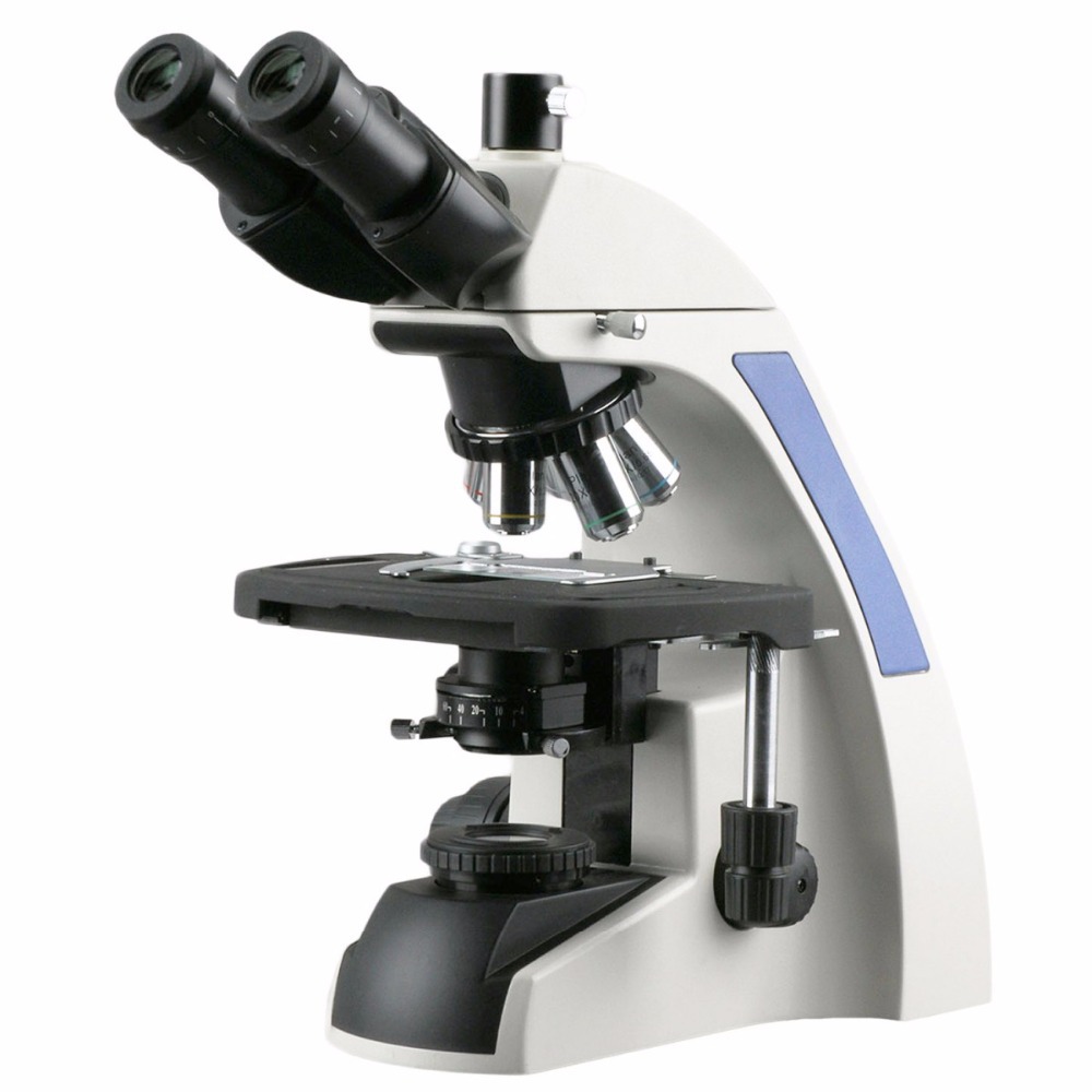 Microscopio Compuesto Trinocul - Amscope Microscope Compound 40X-1000X reseña y precio