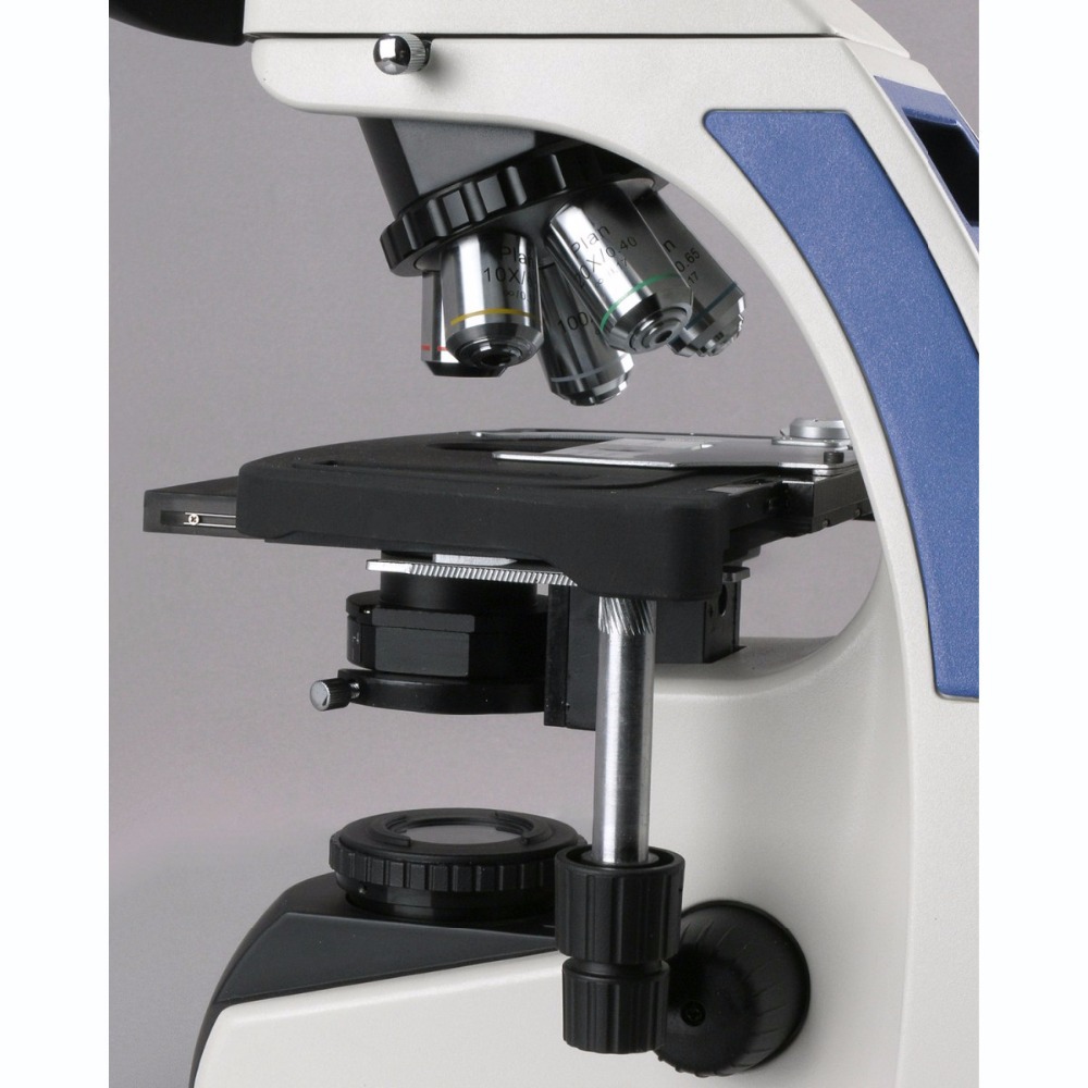 Microscopio Compuesto Trinocul - Amscope Microscope Compound 40X-1000X reseña y precio