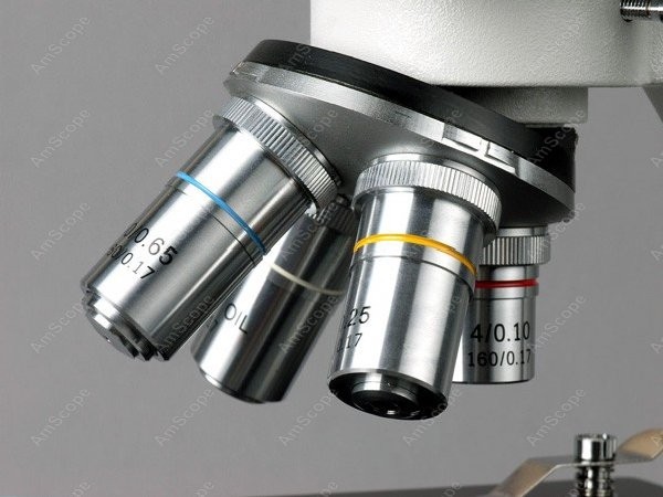 Microscopio Biológico Compuest - Amscope Microscope Compound 40X-1000X reseña y precio